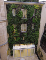 Alaia Boutique, Vertical Garden, late afternoon, Paris, Dec 2013