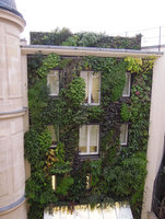 Alaia Boutique, Vertical Garden, Paris, Dec 2013