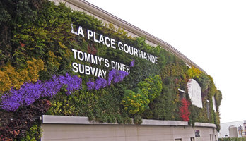 Alpha Park, vertical garden by Patrick Blanc on a spring rainy day, Clayes sous Bois, France