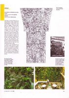 amc, Juin 2002, Vertical Garden at the Pershing Hall