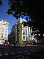 Athenaeum hotel Vertical Garden by Patrick Blanc, London, Oct. 2013