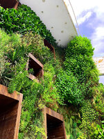 Atlas Mall, vertical garden by Patrick Blanc, plants and windows, Tehran