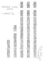 Baggage Claim Planters at Changi T 2, plant design by Patrick Blanc