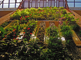 Beach Suites, low angle shot of the Vertical Garden, Sofitel Palm Jumeirah, Dubai