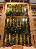 Beach Suites, the double faced Vertical Garden, Sofitel Palm Jumeirah, Dubai