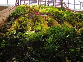 Beach Suites, Vertical Garden Cliff, Sofitel Palm Jumeirah, Dubai