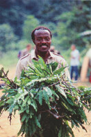 Bernard Nkongmeneck from the National Herbarium in Yaoundé who was at the head of the Cameroon botanists team during the Canopy Raft expedition in 1991 in the Campo area