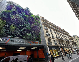 BHV Homme, Marais, Paris, the Vertical Garden by Patrick Blanc, Feb. 2025