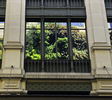 BHV Hommes Vertical Garden by Patrick Blanc, reflection on glass windows of the main building, July 2021