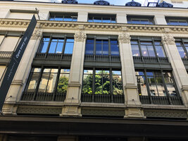 BHV Hommes Vertical Garden by Patrick Blanc, reflection on the main building, July 2021