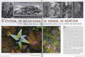 Blanc P. - 2004 - S'éviter, se réajuster, se mimer, se répéter - de l'Art de la cohabitation chez les plantes de sous-bois - Les Pages Titre