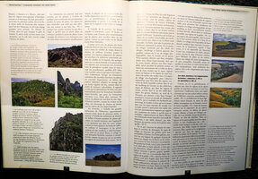 Blanc P., 2002, Etre Plante à l&#039;ombre des forêts tropicales, P. 402 and 403, habitat of Ravenala grandis (as R. Bemavo) on inselbergs and R. madagascariensis (as R. Horonhorona) in swampy lowgrounds, Madagascar
