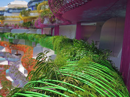 Boas d&#039;Ibiza, Green side