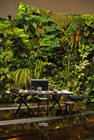 Bureau de Patrick Blanc sur le Christarium