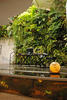 Bureau de Patrick Blanc sur le Christarium, avec glace frontale