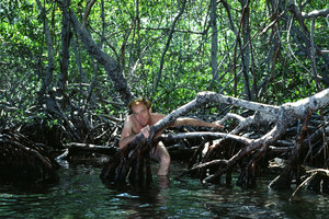 Patrick Blanc in the Mangrove, Venezuela 1999