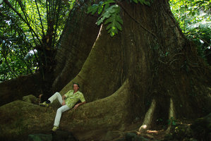 Patrick Blanc and Octomeles sumatrana, Luzon, May 2011