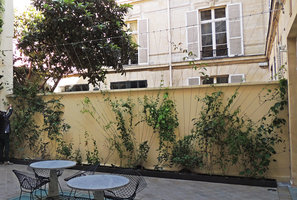 Alaia Boutique, Cables en faisceaux, supports de lianes