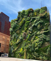 Caixa Forum, Madrid, the Vertical Garden by Patrick Blanc on 15th May 2021