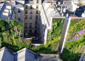 Canyon street with the side walls covered with vertical gardens by Patrick Blanc, Rue d&#039;Alsace, Paris , photo DR