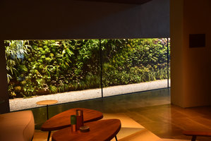 Canyon, Vertical Garden by Patrick Blanc,  view from inside, Le Sereno, Como Lake, Italy