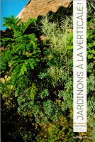 Jardinons à la verticale !