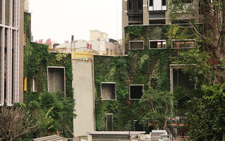 Centralcon, Future City project, first Vertical Gardens two months after plant installation,Shenzhen