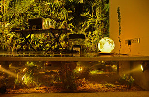 Christarium at Patrick Blanc home with fishes, Vertical garden and the desk.