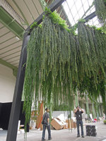 Ciel Vert pour My Design during installation, Grand Palais, Paris