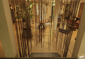 Cissus verticillata, indoor living roots curtain of Cissus verticillata in Patrick Blanc Home, July 2019