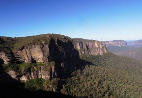 Cliff ledges covered with plants, Blue Mountains, NSW, Australia