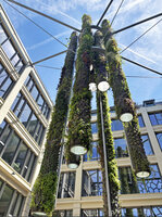 Colonnes Symbiose at the Mutualité Française, Paris, just few days after plant installation, June 2026