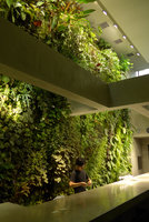 Costume National Vertical Garden, Fukuoka, Sept. 2016