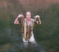 Patrick Blanc and Cryptocoryne crispatula var. balansae, Radeau des Cimes expedition, Khonglor, Laos