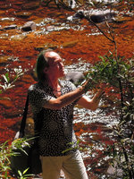 Patrick Blanc in a black water stream, Taman Negara, Malaysia, Aug 2011