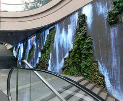 Living and Digital Waterfall by Patrick Blanc and TeamLab, C Future City, Shenzhen