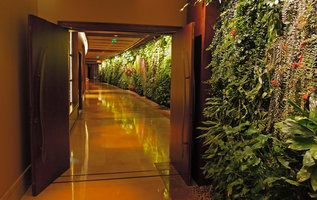 sofitel jumeirah blanc mur vegetal