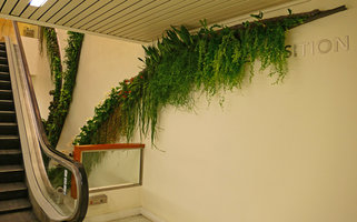 Eclairs Verts by Patrick Blanc for the Jardins exhibition, Grand Palais, Paris