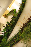 Eclairs Verts by Patrick Blanc for the Jardins exhibition, top parts, Grand Palais, Paris