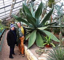 Elena Arnautova and Patrick Blanc in the Komarov Botanical Garden, Elena being at the head of the 14 000 plant species living collection, Saint Petersburg, Russia, Feb. 2020