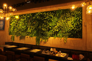 Emperor Hotel, vertical garden by Patrick Blanc in the restaurant, Hong Kong