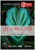 Exhibition of photos by Patrick Blanc Les Intrigantes de l&#039;Ombre at the Botanical Garden, Nancy, France, April to October 2023