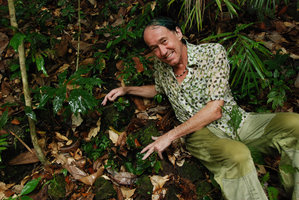 Begonia blancii publication, new species discovered by P. Blanc in Philippines