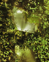 FAAP Exhibition, one Quaternary panel, open windows, Sao Paulo