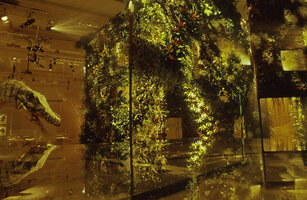 FAAP exhibition, Quaternary Hanging Blades observed by a Creataceous Dinosaurus, Sao Paulo