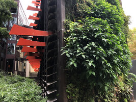 Façade with red blades and Pilea angulata subsp. petiolaris on the Vertical Garden at the Quai Branly Jacques Chirac Museum, Paris, Sept. 2022
