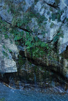 Marble cliff covered with plants, Taroko, Taiwan