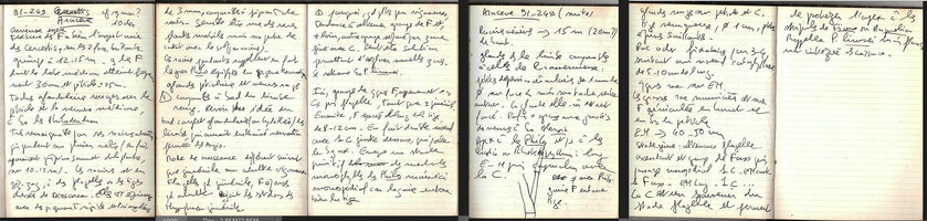Field note book by Patrick Blanc on 10th Dec. 1991, explaining the growth habits of  his newly discovered Cercestis sp. 91-249 finally named Cercestis blancii, in 2025, Ebodje, Campo, Cameroon