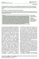 First page of the article describing Cercestis blancii, Botany Letters, published online 24th November 2025