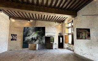Fleurs de Pierre, photo exhibition by Patrick Blanc, Centre des Monuments Nationaux, Commissaire Marc Jeanson, chateau de Chateaudun, France, June to October 2023